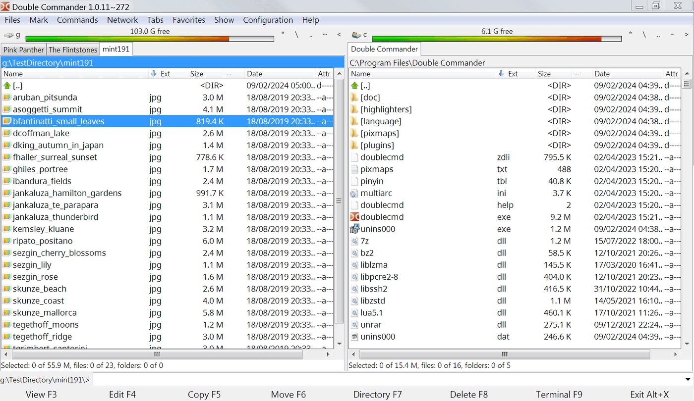 Интерфейс Double Commander в Windows
